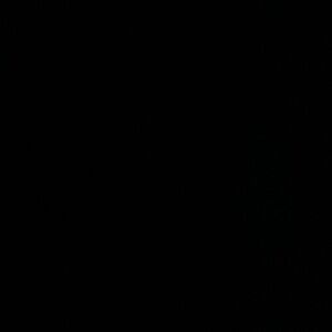 Meet your Posher, Riley